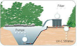 Teichfilter-Aufbau