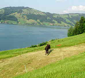 Zug aergeriesee