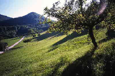 basel-landschaft